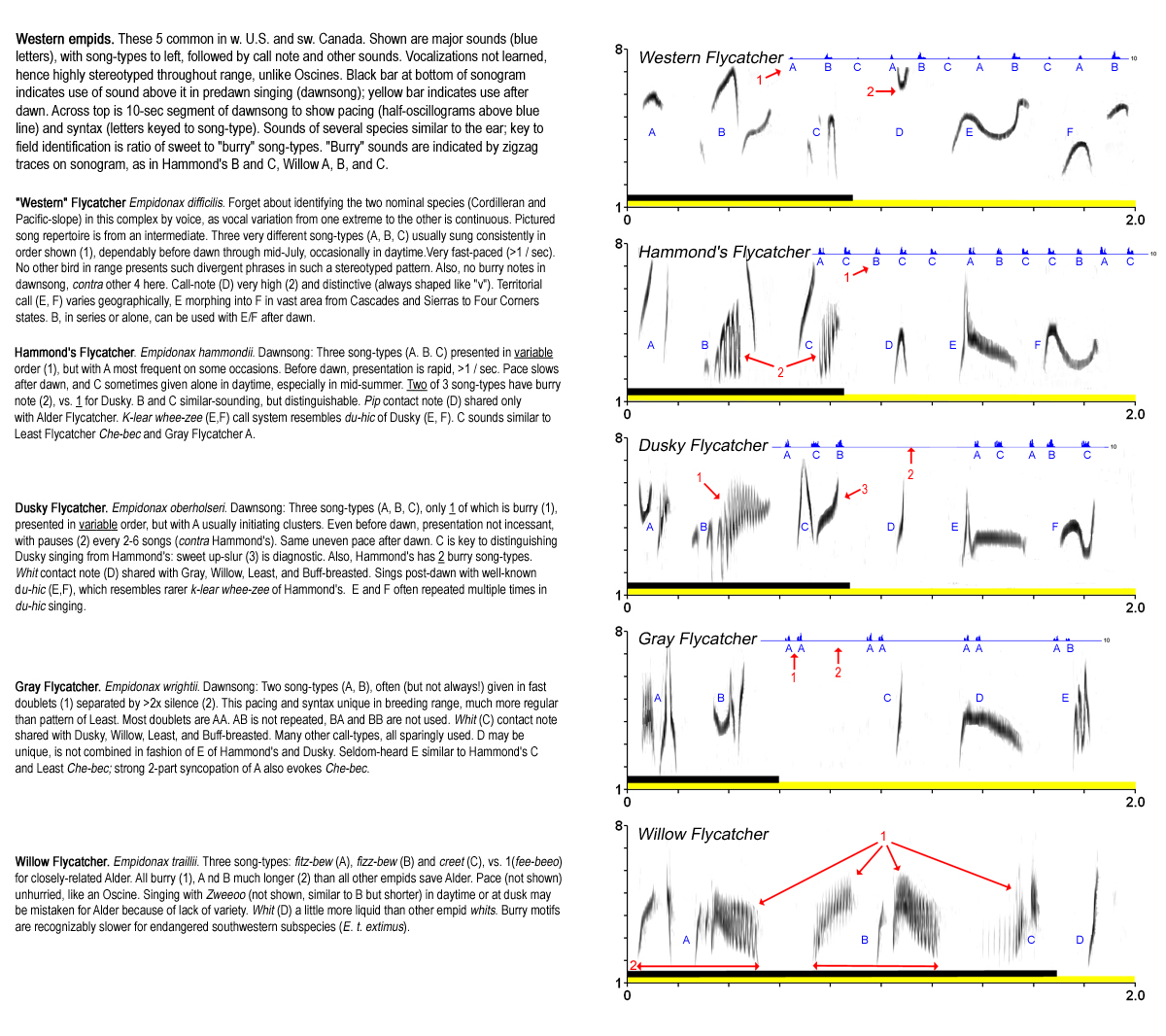 field guide page